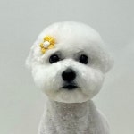 포에버위드유 살롱