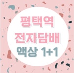 평택역전자담배