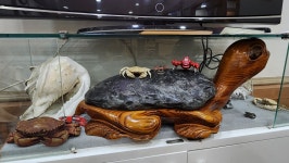 장금이꽃게장 본점