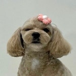 포에버위드유 살롱