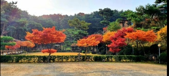산마루