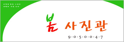 봄사진관