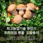 도담버섯농장