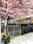 레드포스PC아레나 서강대점