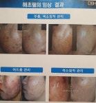 오렌지피부샵