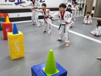 국가대표정태권도