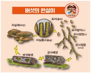 버섯체험농장 에듀웰팜