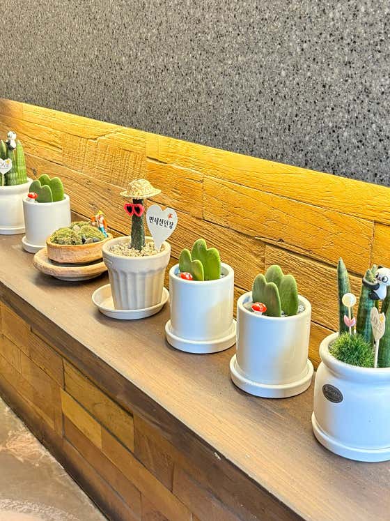 하삼동커피 감만점 사진