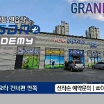 ACEGDR아카데미