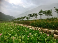 협동조합냇강두레농업