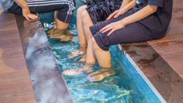 남해 라운지32 리조트