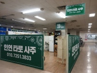 인연타로&사주