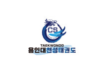 용인대천성태권도