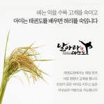 날아라용인대태권도 전주혁신도시점