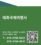 태화국제여행사