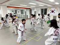 한국체대송중태권도