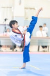 한국체대송중태권도