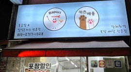 카츠애옹