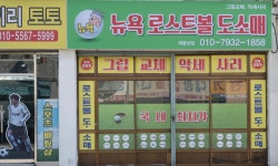 뉴욕로스트볼