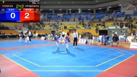 고려대솔빛태권도