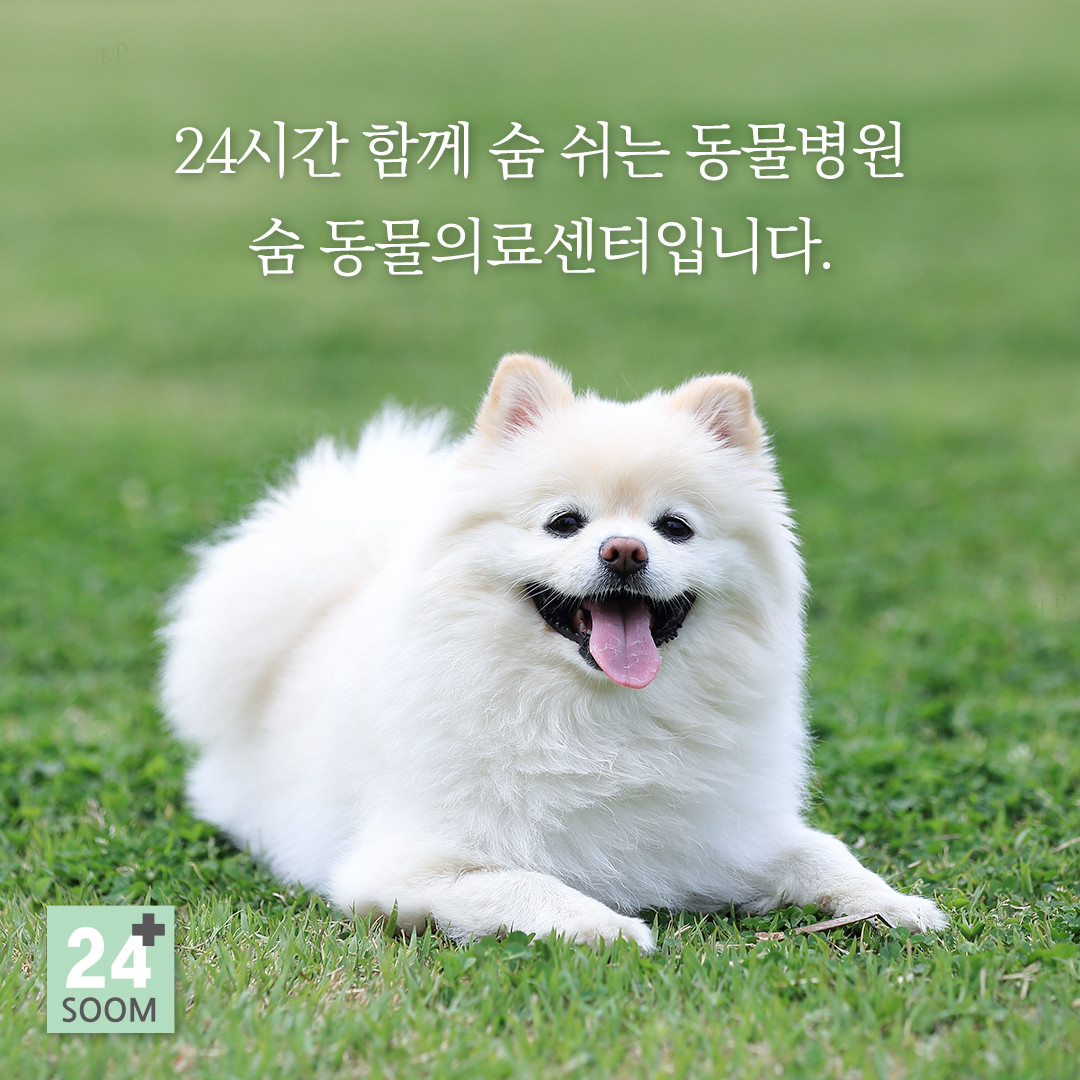 24시 숨 동물의료센터