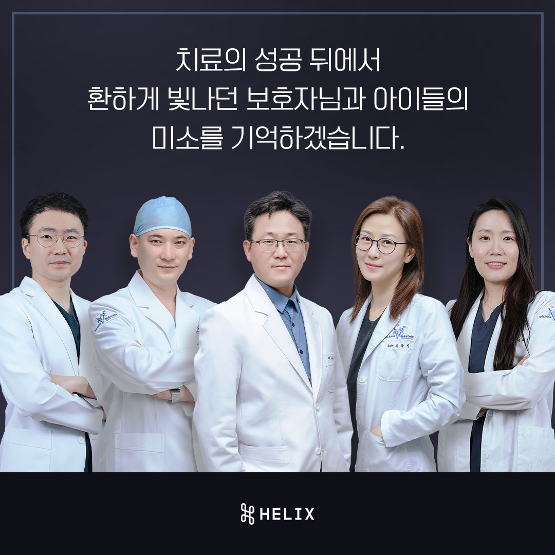 헬릭스동물메디컬센터 일산