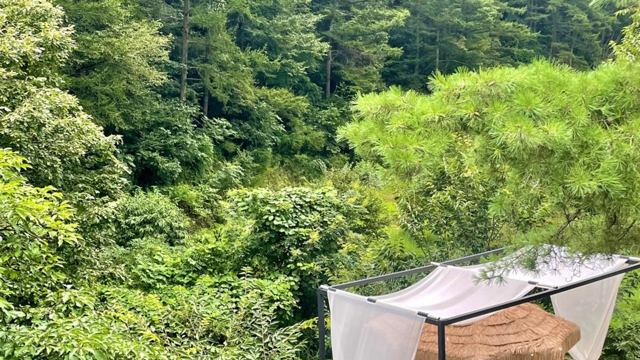 인더파인
