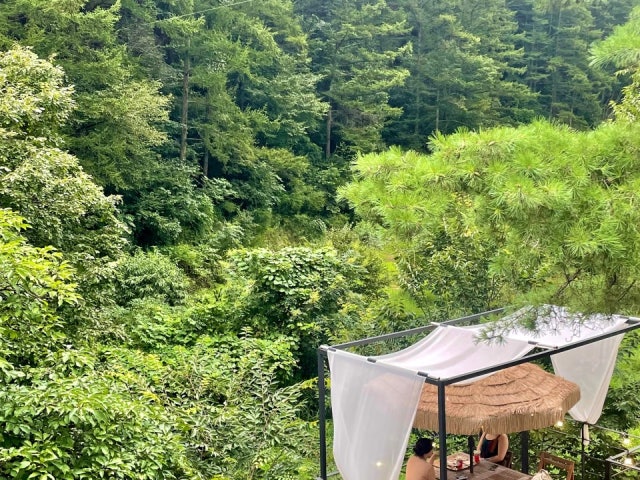 인더파인
