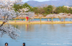 뉴더안수영장펜션