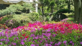 신토불이 보은점