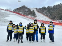 키즈연세대태권도