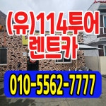 일일사투어렌트카