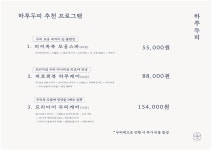 하루두피 분당정자점