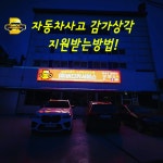 버디카서비스