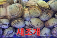 활어찐수산
