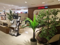 세라젬 롯데백화점 강남점