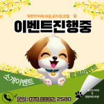 개멋진날