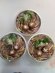 6번가 정육점
