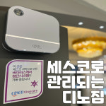 디노짐 헬스PT
