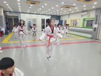 한국체대힐캐슬태권도