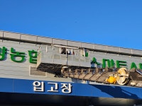 디자인한우물