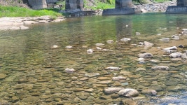 월악산황토펜션