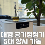 디노짐 헬스PT