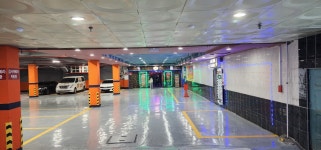 호박성인관광나이트