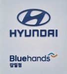 블루핸즈 감일점
