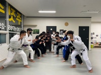 롤링스타 주짓수&킥복싱