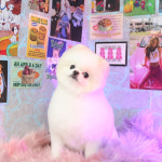 아콩하우스