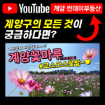 해링턴썬데이부동산공인중개사사무소