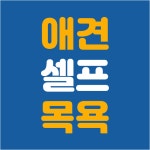 펫엔조이 영통기흥점