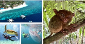 하나투어 트윈스여행사 홈플러스 울산남구